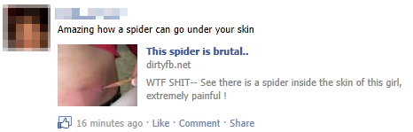 Fake Facebook Spider Post