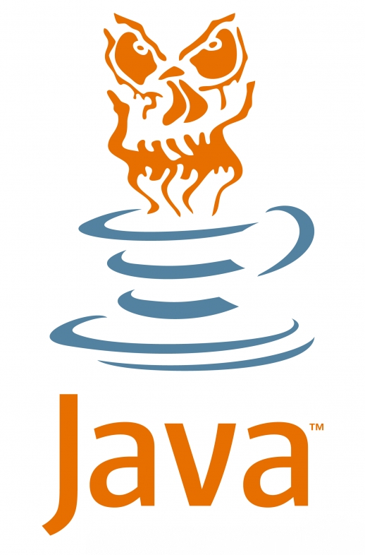 Critical Java Flaw