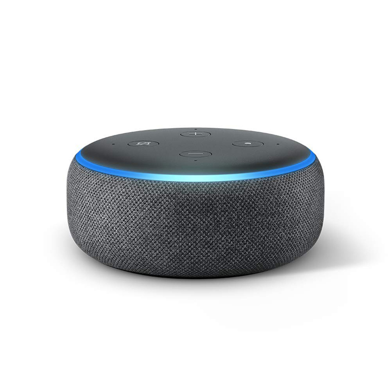 Alexa Amazon Echo Dot Computer Peeps