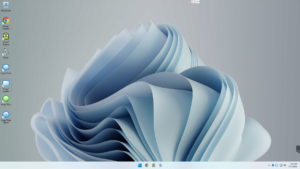 Windows 11 MiniPeep Peeps' Software